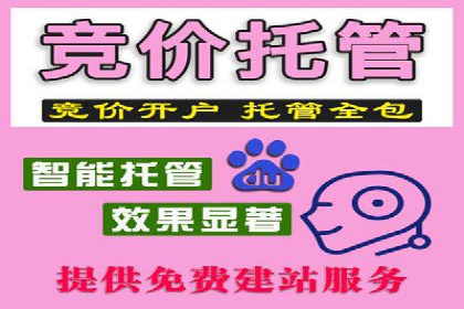 百度推广代运营公司案例分析